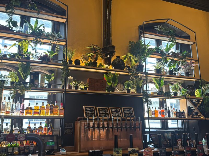 (Pub, Bar). Published on 01-03-2026 