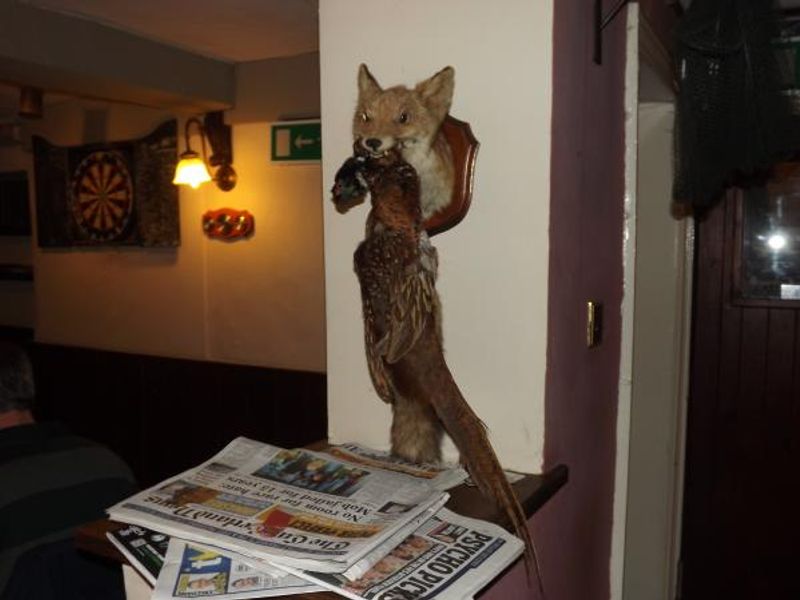Fox & Pheasant. (Pub, External, Key). Published on 15-04-2014