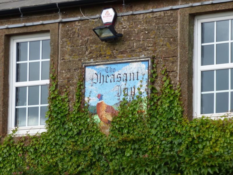 (Pub, Sign). Published on 06-08-2019