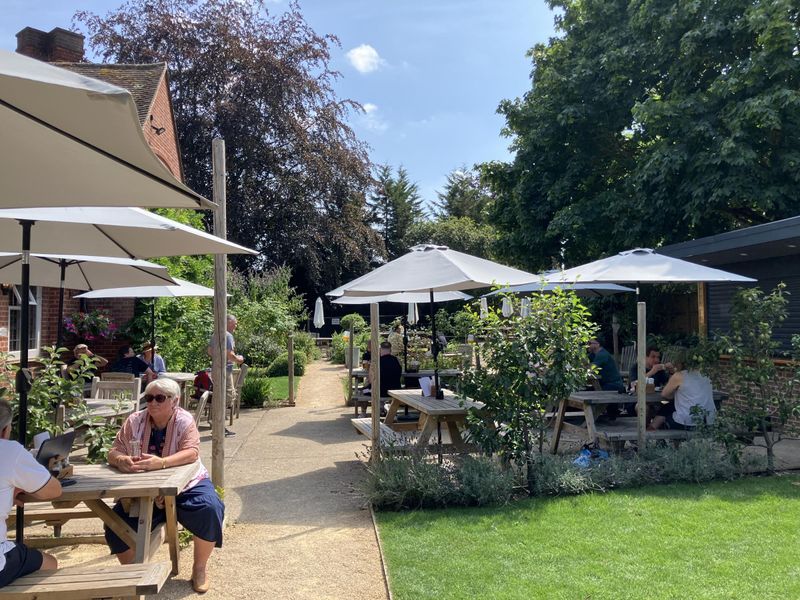 Baskerville, Lower Shiplake - Garden - July 2026. (Garden). Published on 18-07-2026 