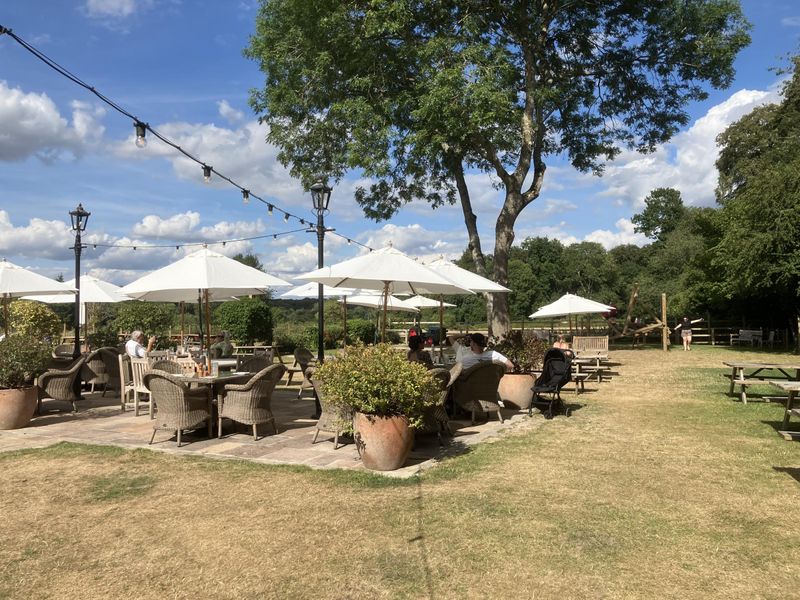 Packhorse - Garden - July 2025. (External, Garden). Published on 11-07-2025 