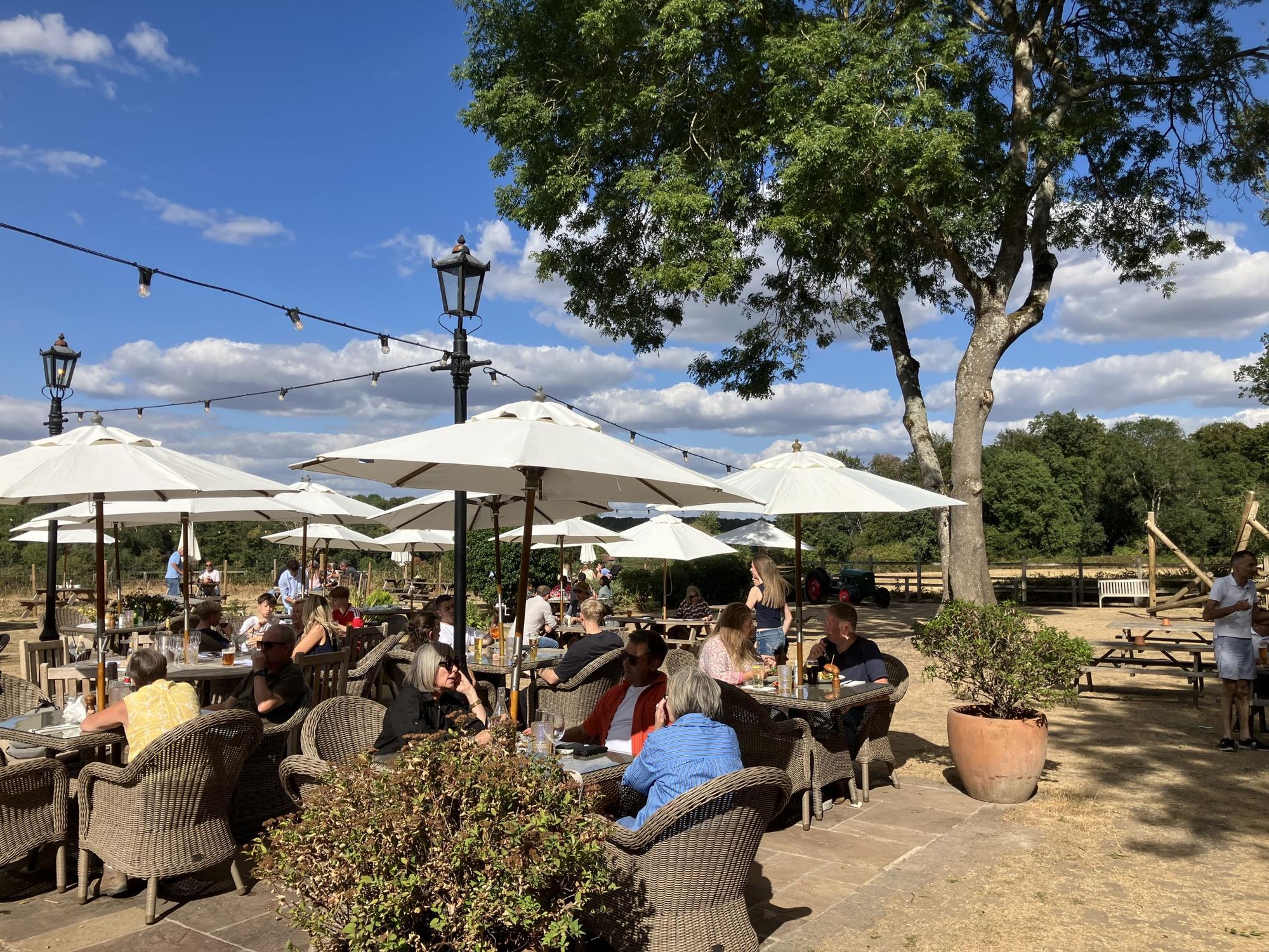 Packhorse, Mapledurham - Garden - Aug 2026. (Pub, External, Garden). Published on 23-08-2026