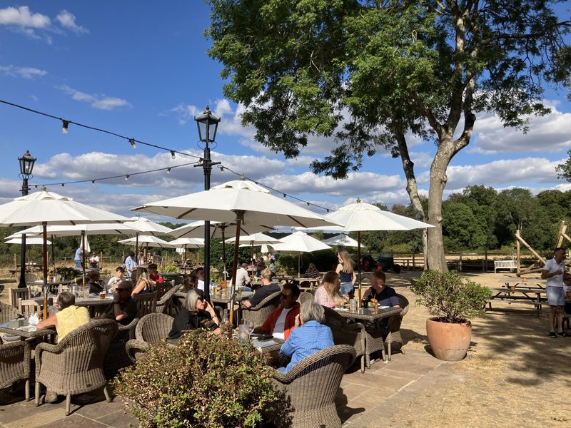 Packhorse, Mapledurham - Garden - Aug 2026. (Pub, External, Garden). Published on 23-08-2026