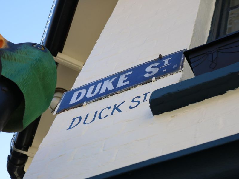 Henley - Duck - looking east Oct 2026. (Pub, External). Published on 05-10-2026 