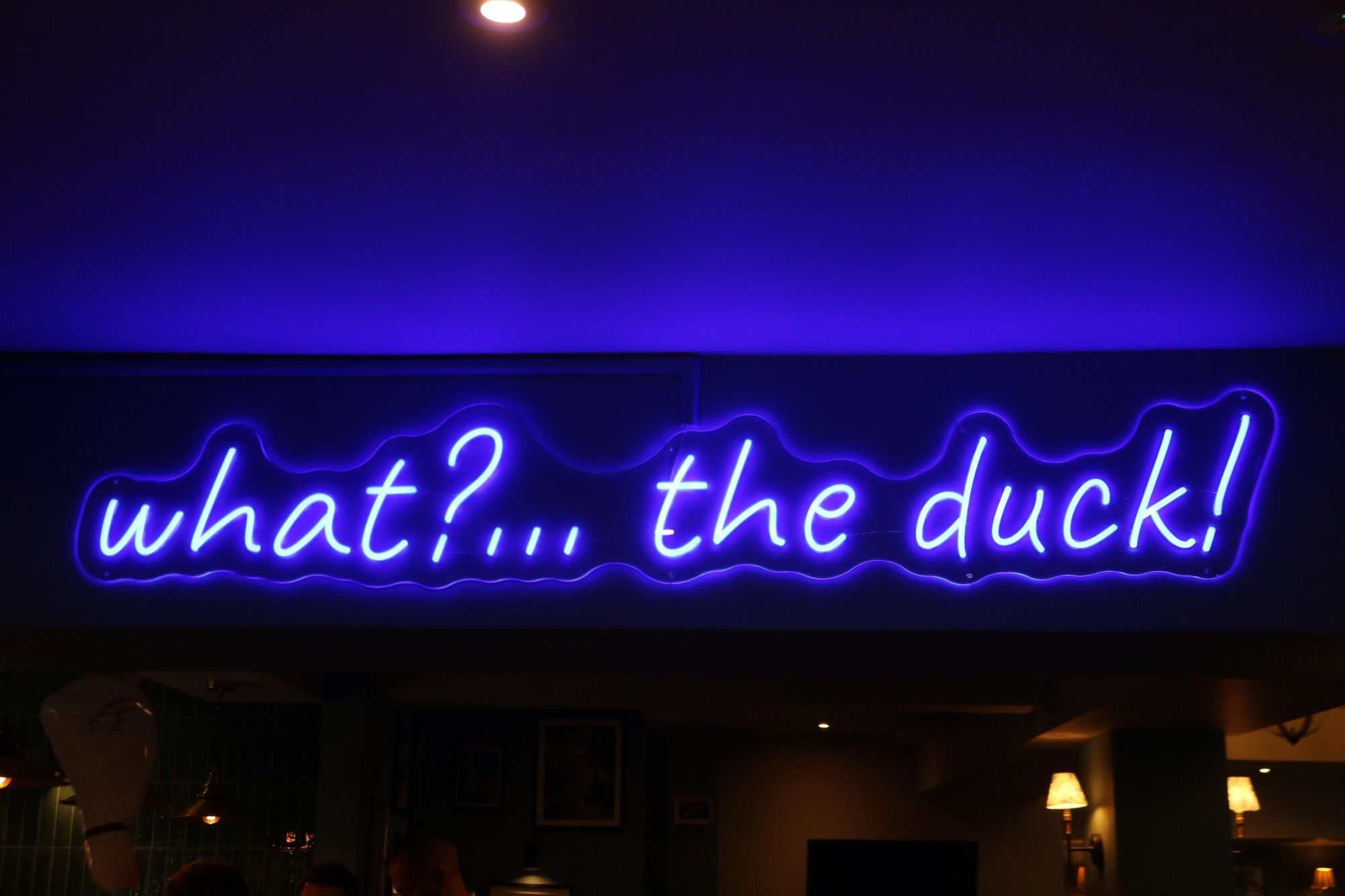 Henley - Duck - illuminated internal sign Oct 2026. (Pub). Published on 05-10-2026