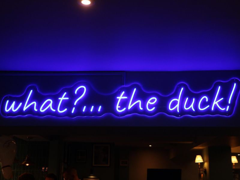 Henley - Duck - illuminated internal sign Oct 2026. (Pub). Published on 05-10-2026 
