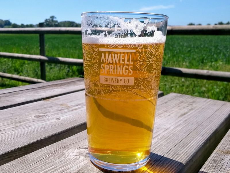 Amwell Springs - pint and view - May 2022. (External, Garden). Published on 24-07-2026