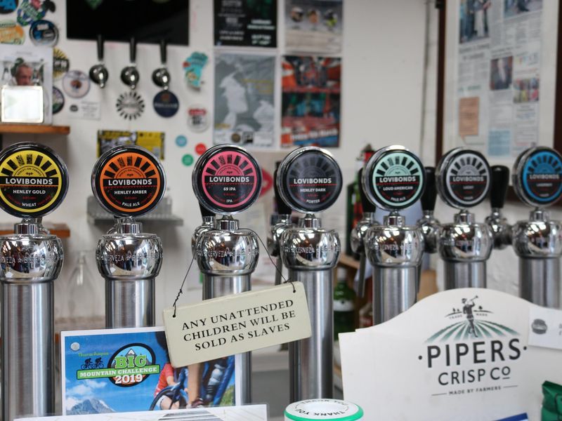 Lovibonds Tasting Room, Henley-on-Thames - beer fonts Mar 2019. (Pub, Bar). Published on 08-05-2023 