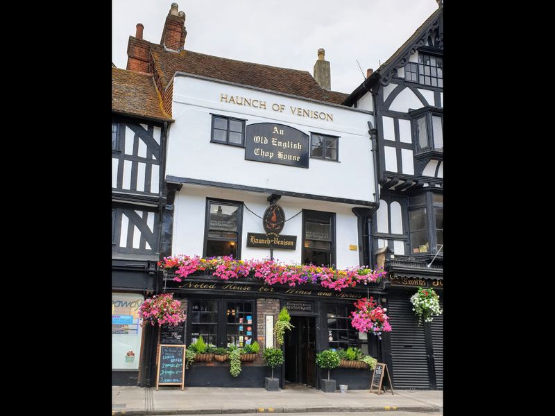 In Bloom. (External). Published on 08-09-2019