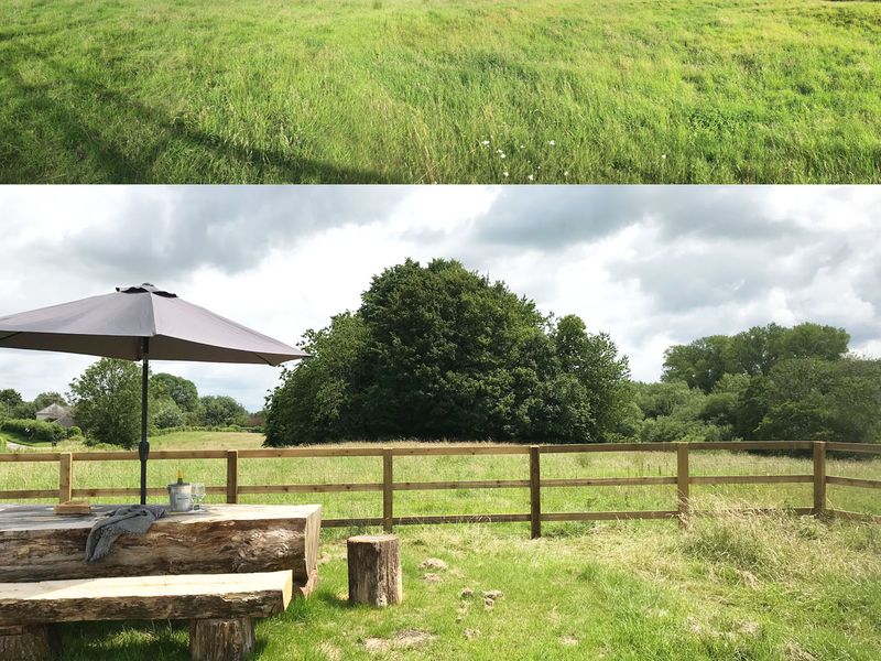 Beer Garden. (External, Garden). Published on 08-07-2021