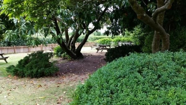 (Garden). Published on 01-01-2015
