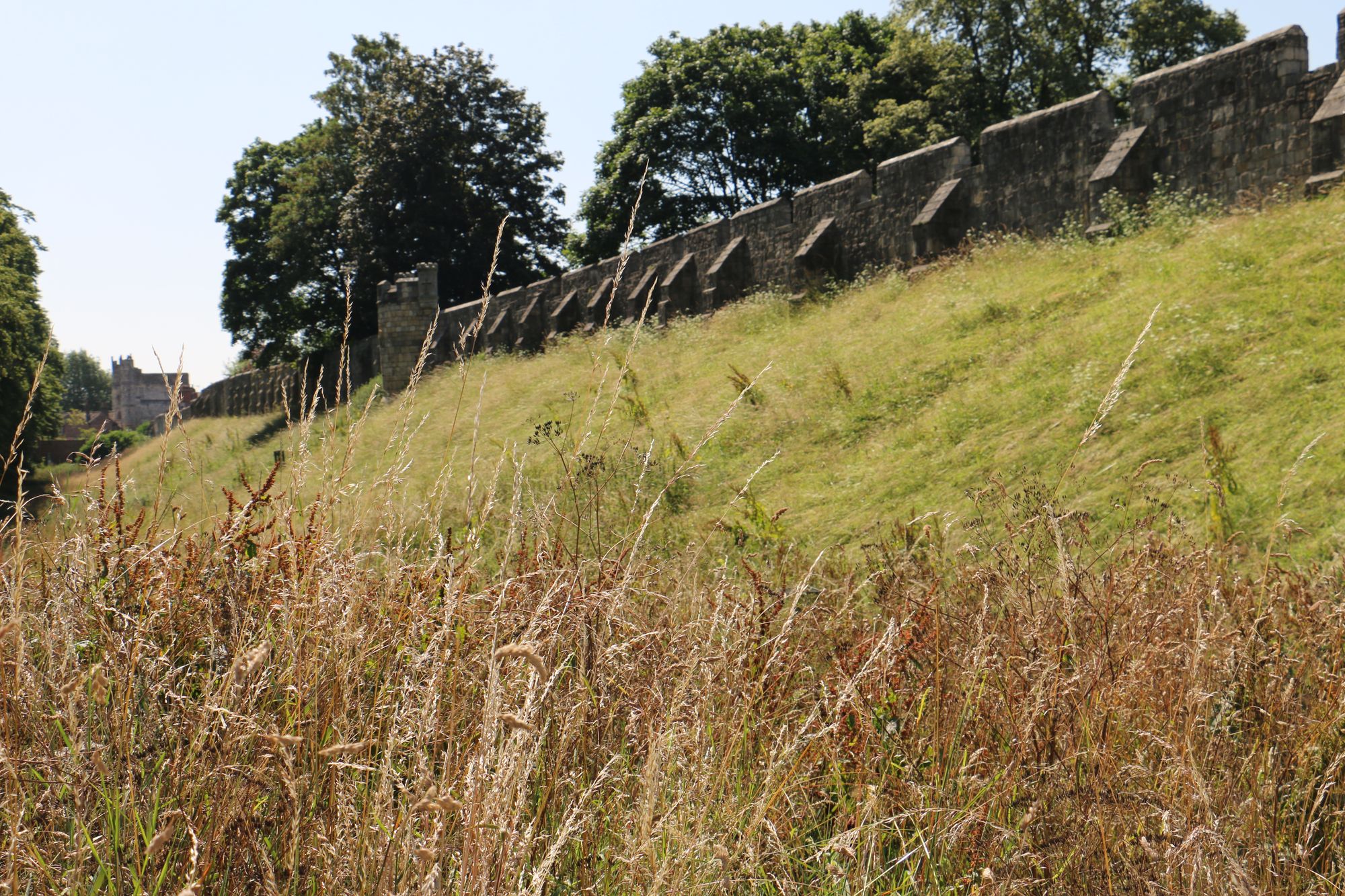 (Branch). Published on 14-08-2025