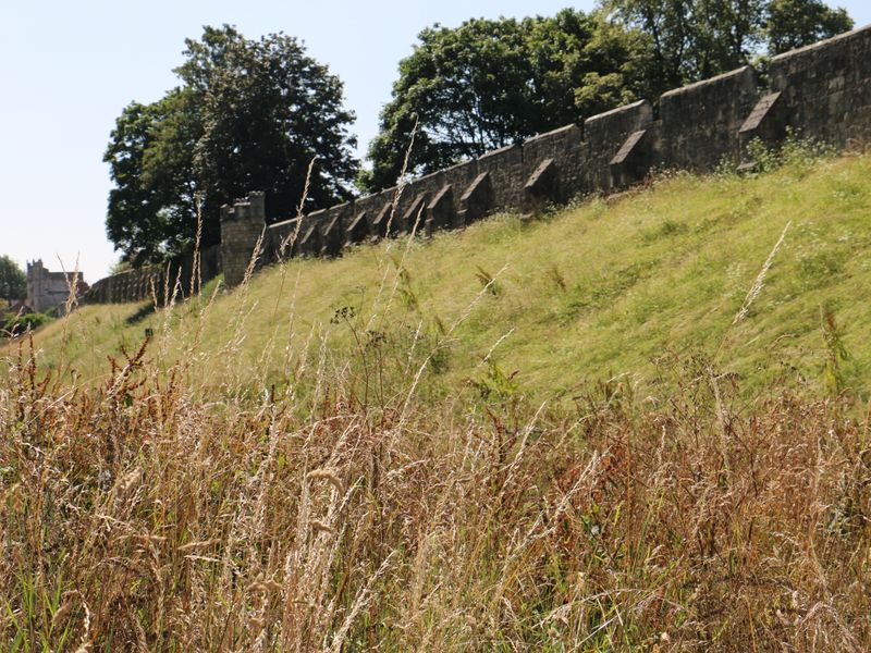 (Branch). Published on 14-08-2025 