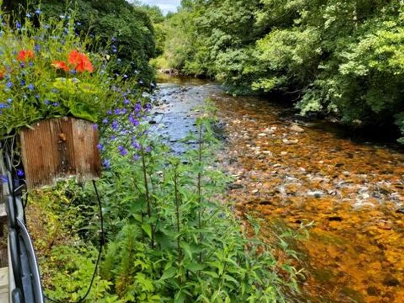 River Dart. Published on 07-07-2022 