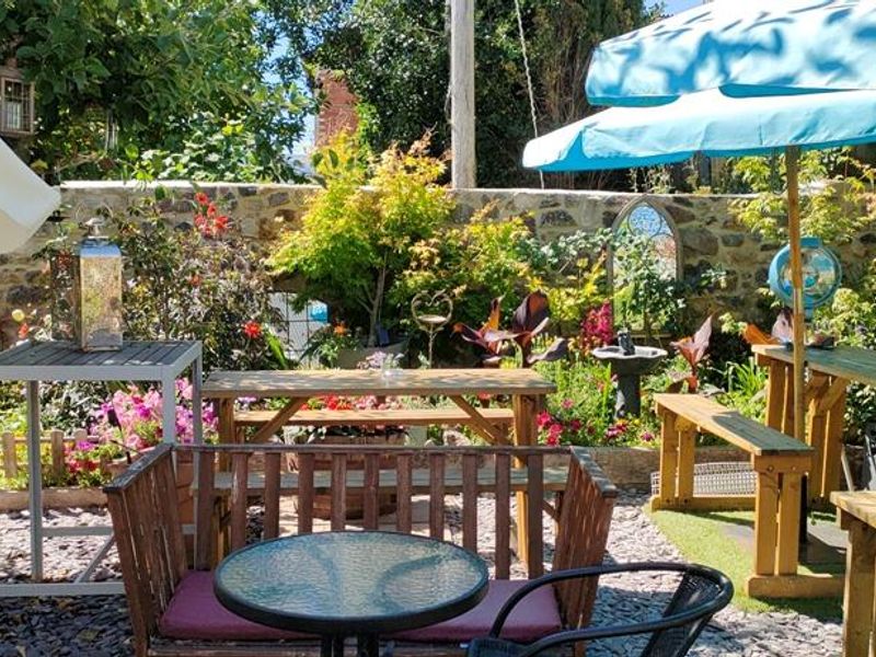 (Garden). Published on 11-08-2022