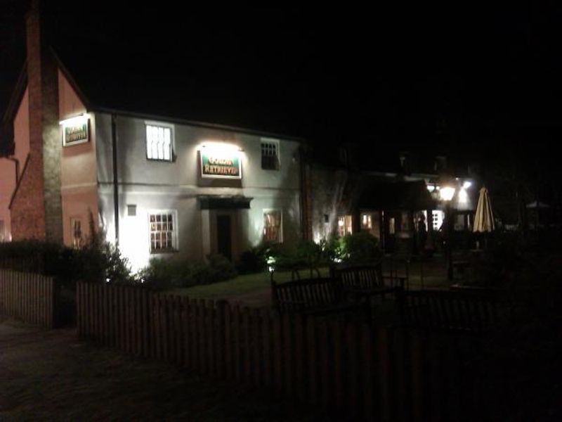 Golden Retriever, Bracknell at night. (Pub, External). Published on 16-01-2013