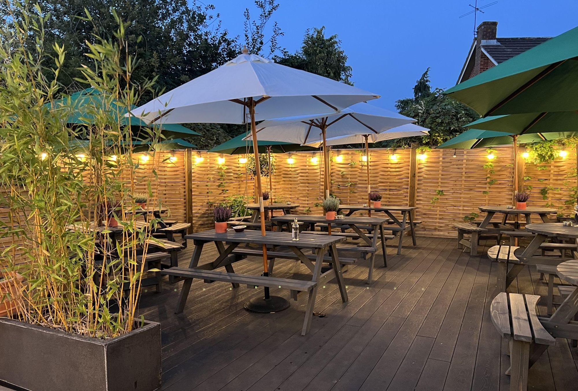 (Garden). Published on 23-09-2024