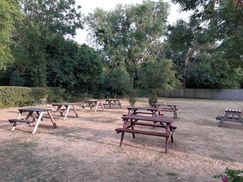 Parched Garden. (Garden). Published on 07-08-2022 