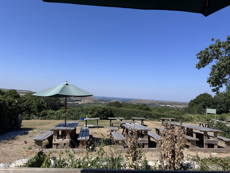 Corfe Castle. (External, Garden). Published on 12-07-2026 