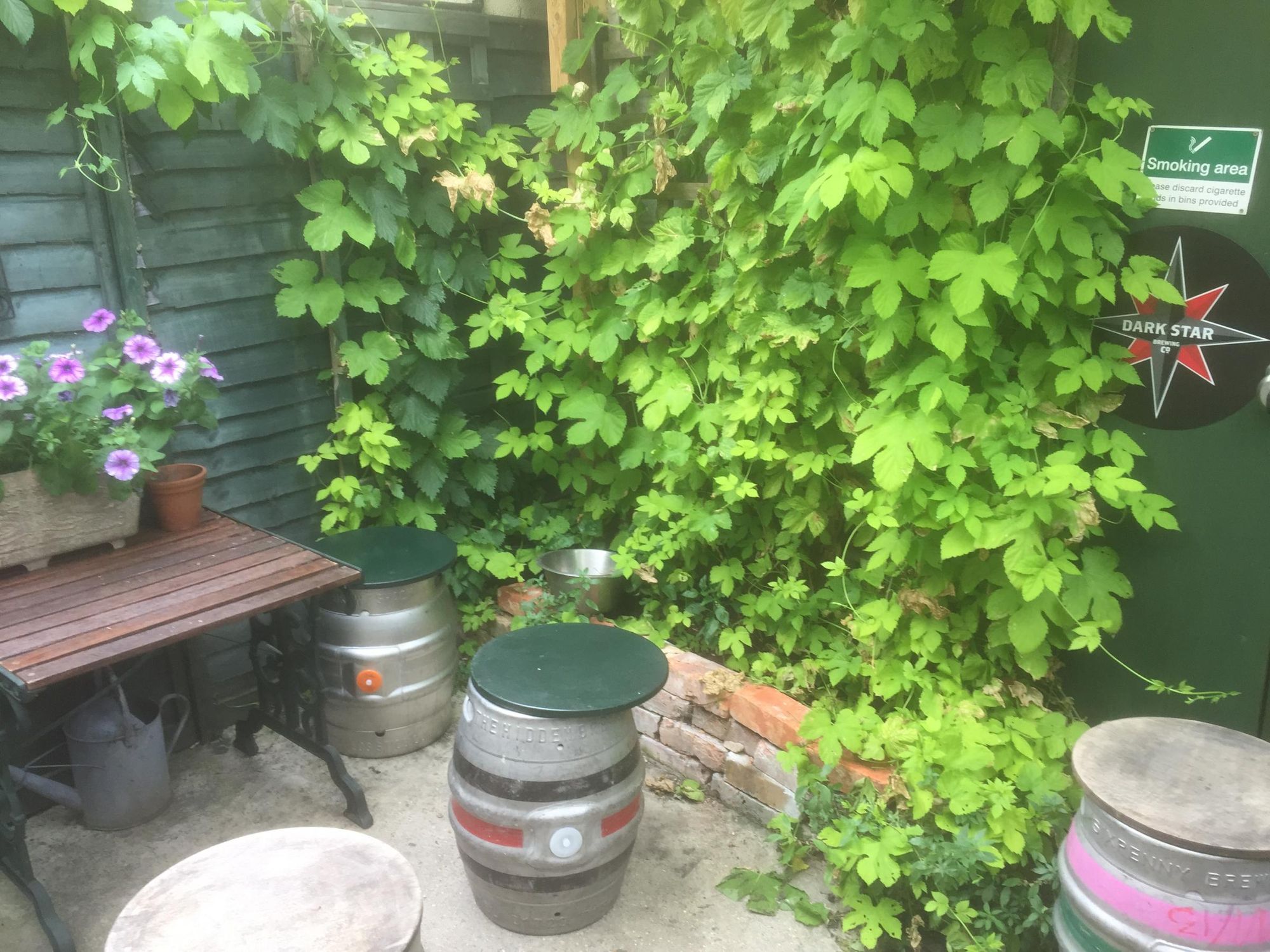 (Garden). Published on 02-07-2018