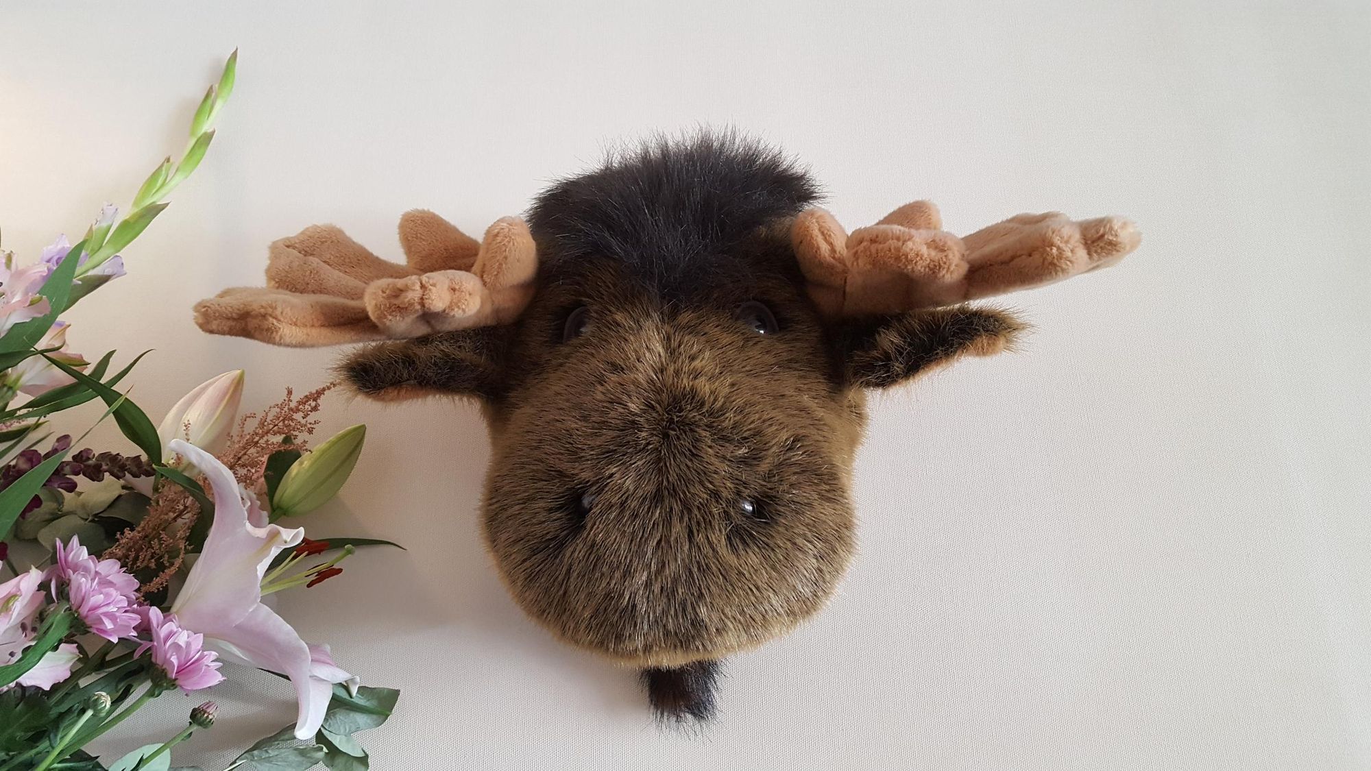 Moose. Published on 08-10-2019