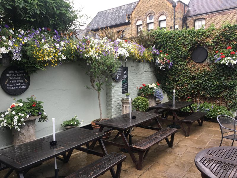 Part of the garden. (External, Garden). Published on 15-08-2019