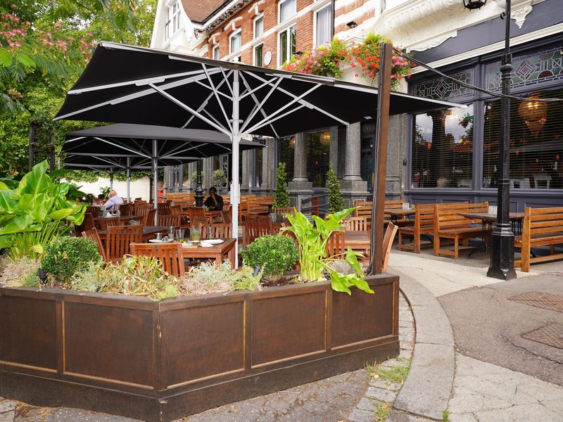 Photo taken 21 Aug 2026, patio. (Garden). Published on 22-08-2026 
