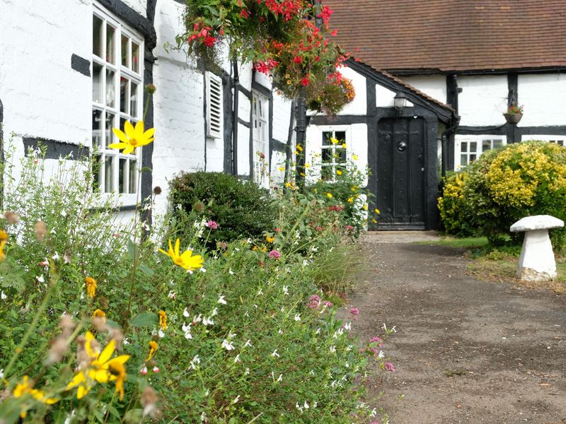 (External, Garden). Published on 21-09-2021 