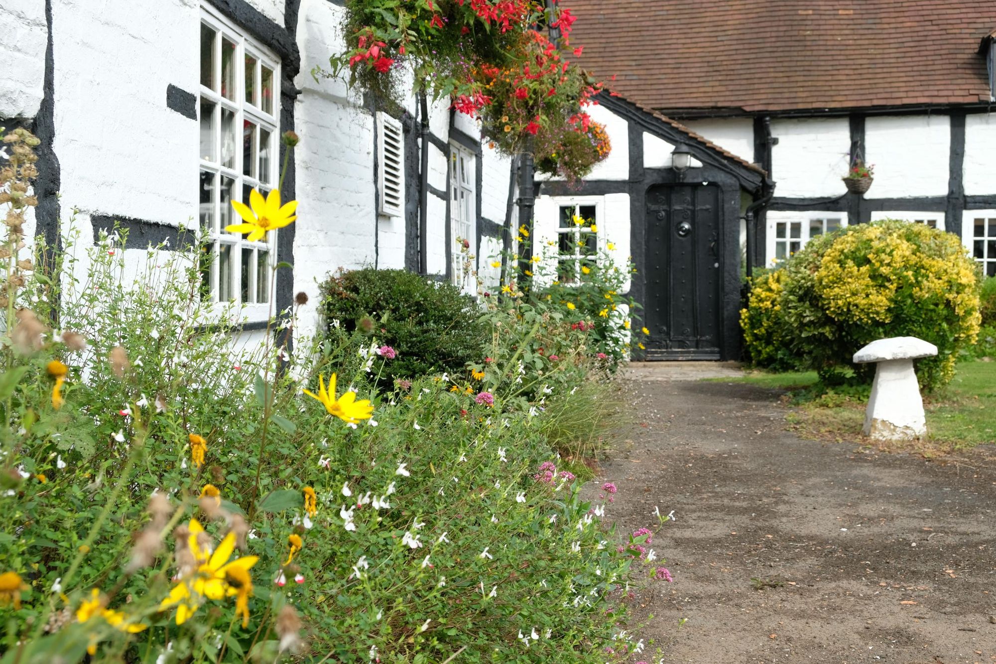 (External, Garden). Published on 21-09-2021