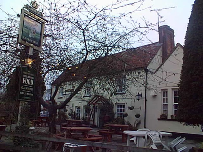 Cherry Tree - Rowledge. (Pub). Published on 03-11-2012