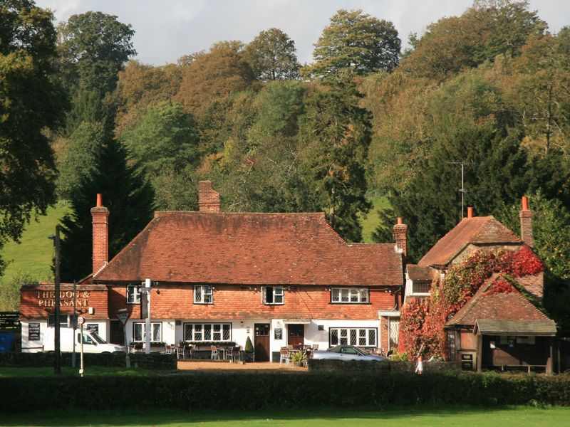 Dog & Pheasant, Brook. (Pub, External). Published on 07-12-2014 