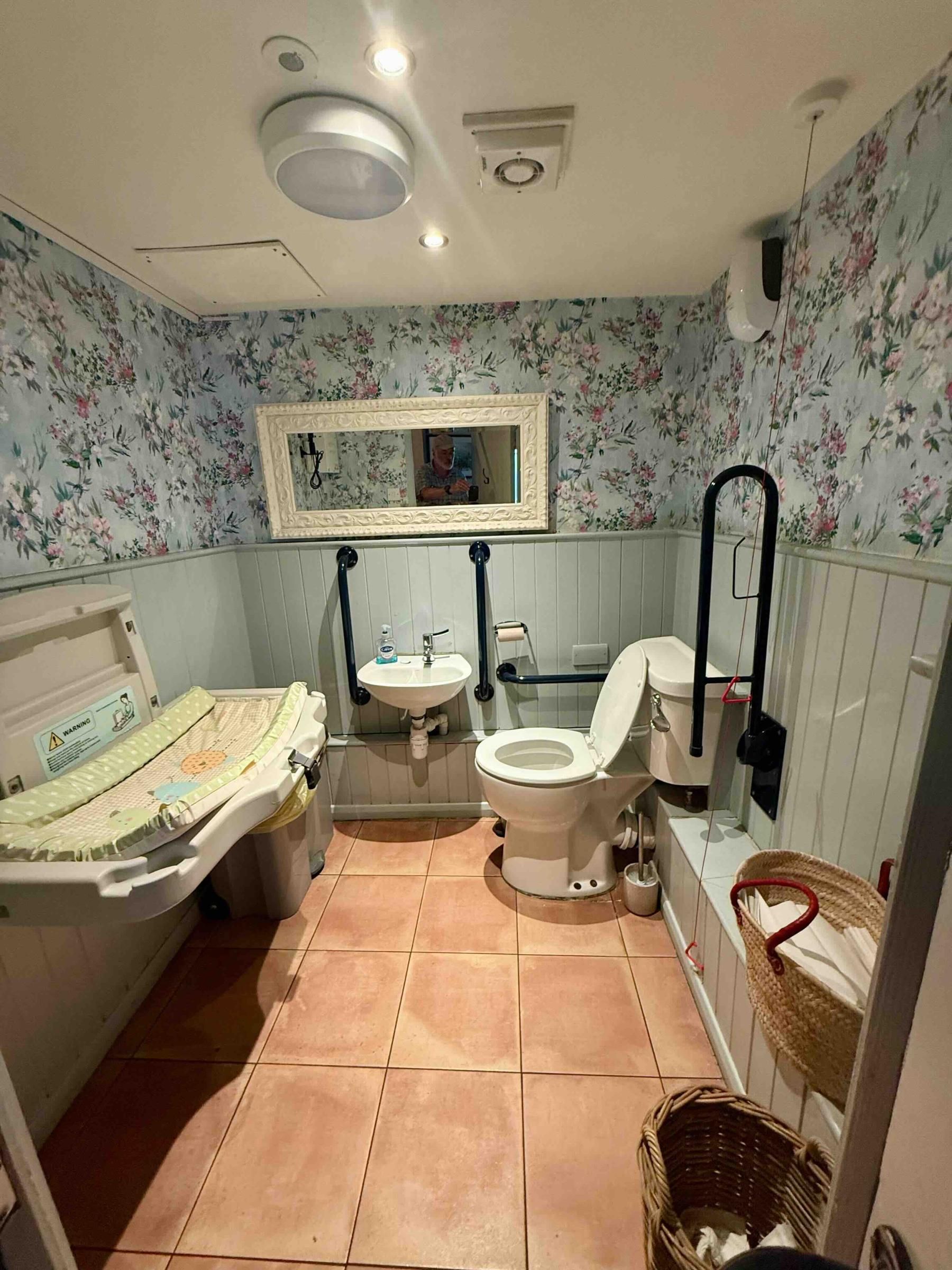 Inside accessible WC. (Pub). Published on 07-07-2026