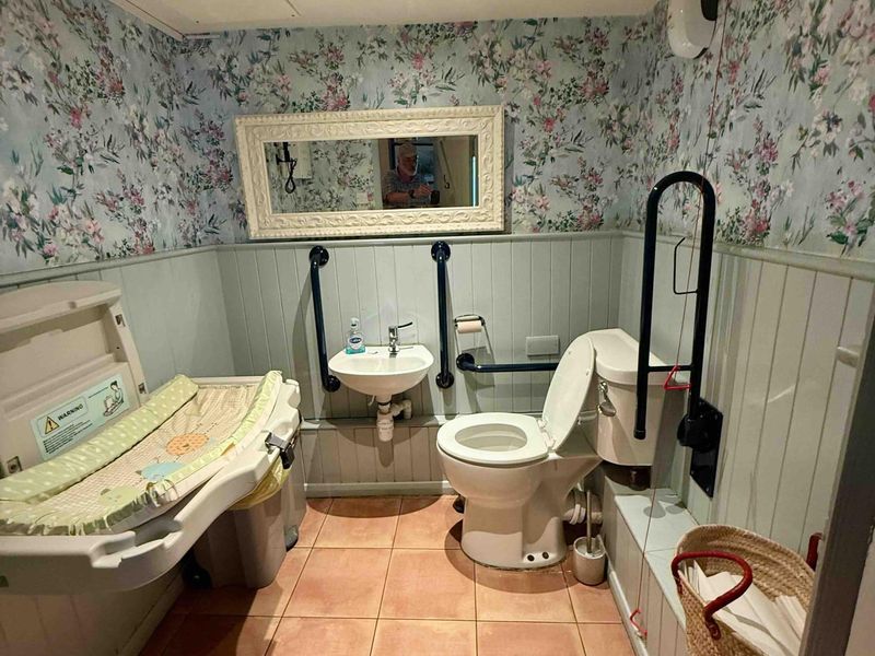 Inside accessible WC. (Pub). Published on 07-07-2026 