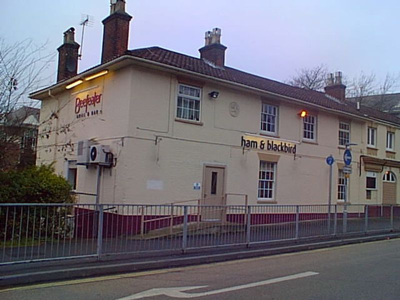 Ham & Blackbird - Farnborough. (Pub). Published on 03-11-2012