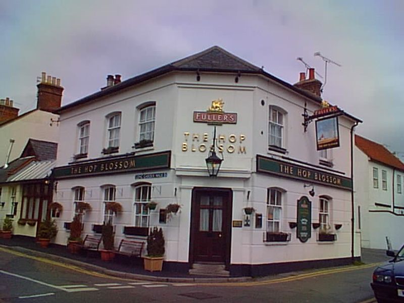 Hop Blossom - Farnham. (Pub). Published on 03-11-2012 