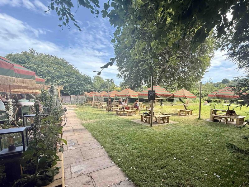 garden. (Garden). Published on 26-06-2025 