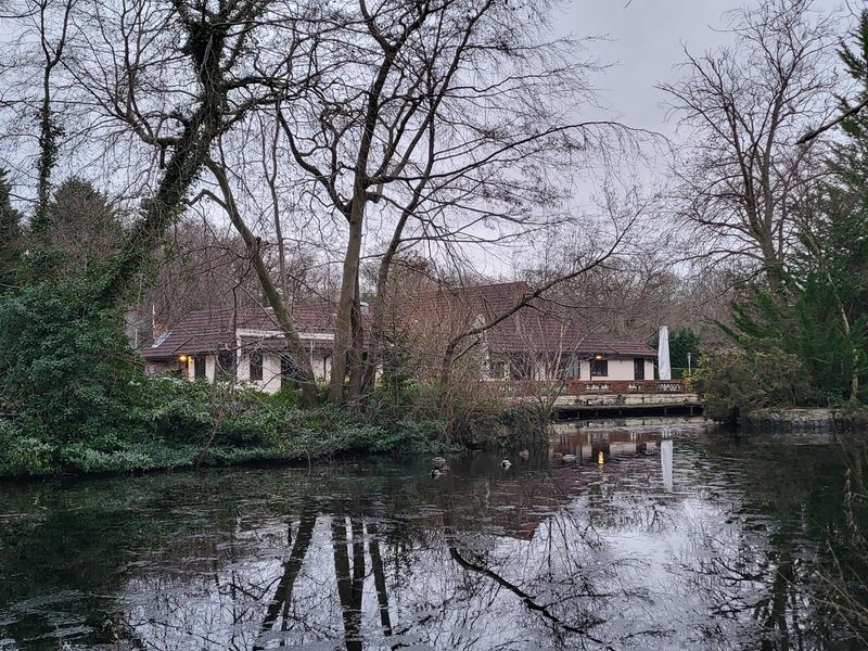 View from the Basingstoke canal. (Pub). Published on 12-01-2024