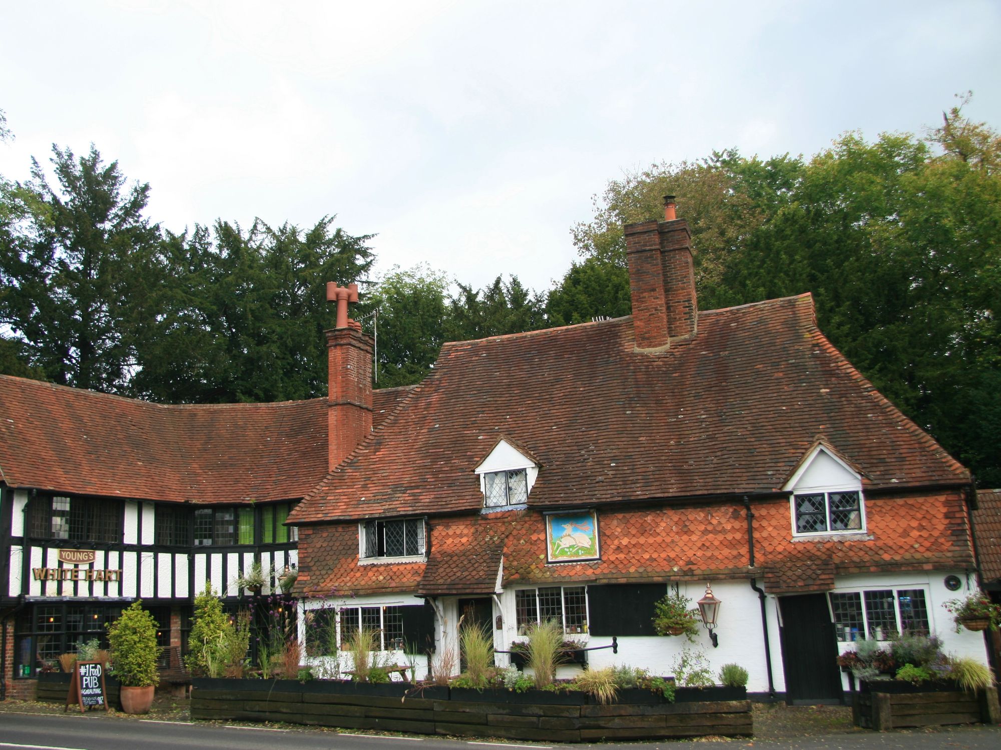 White Hart, Witley. (Pub, External). Published on 07-12-2014