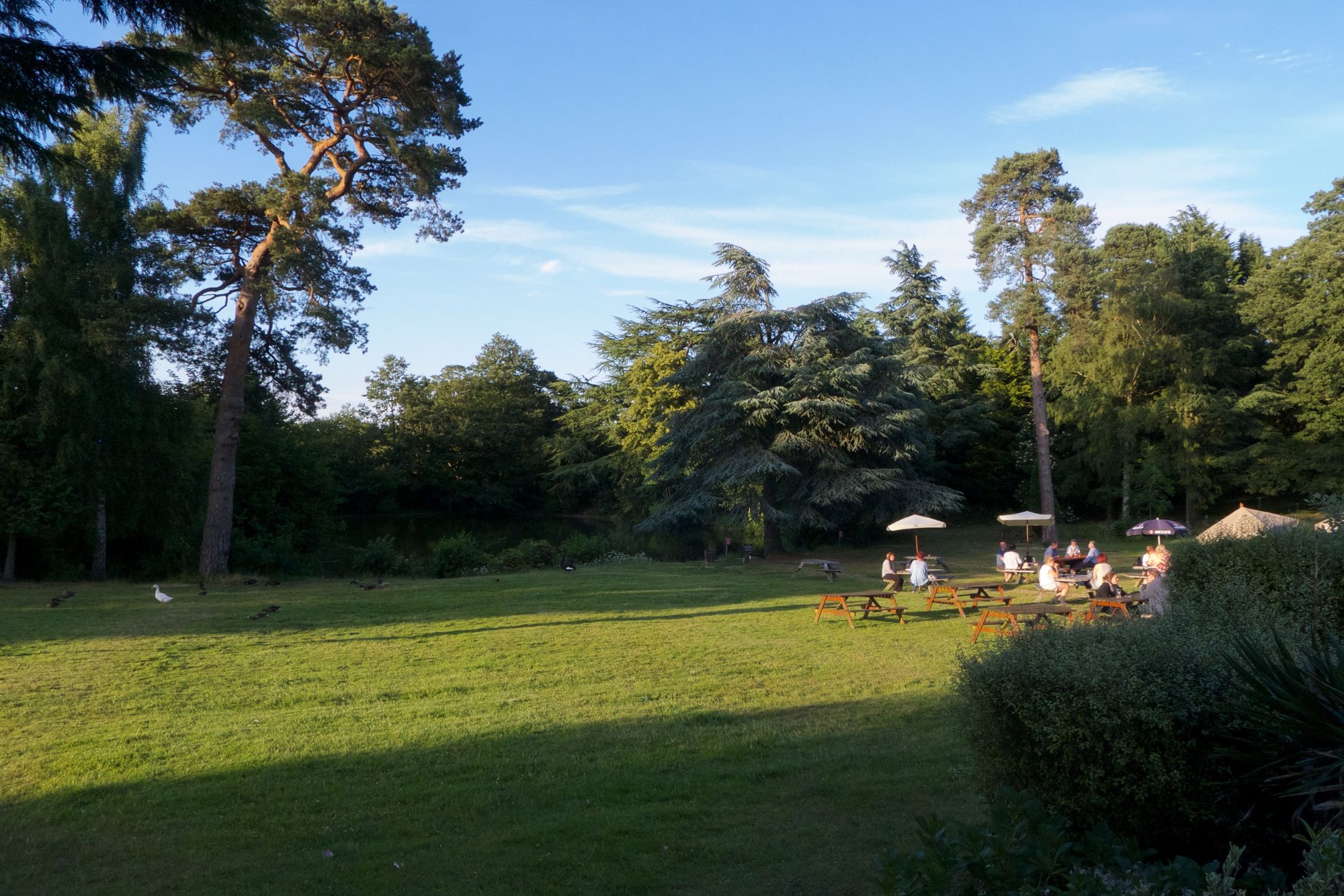 Worplesdon Place Hotel, Worplesdon. (Pub, External). Published on 24-10-2015