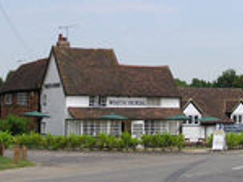 White Horse at Harpenden. (Pub). Published on 01-01-1970