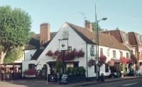 Old Cock at Harpenden. (Pub). Published on 01-01-1970