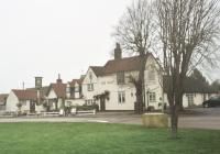 Goat at Hertford Heath. (Pub). Published on 01-01-1970