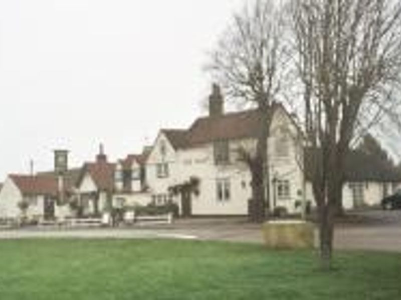 Goat at Hertford Heath. (Pub). Published on 01-01-1970