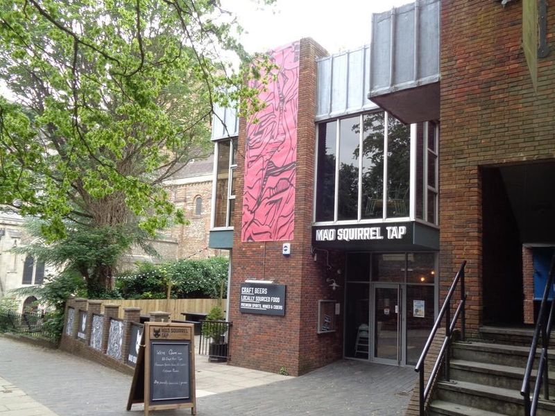Mad Squirrel Tap, St Albans. (Pub, External, Key). Published on 24-06-2019