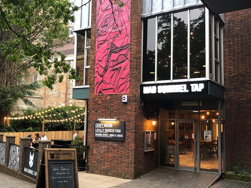Mad Squirrel Tap, St Albans. (Pub, External). Published on 02-07-2019