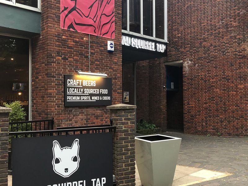 Mad Squirrel Tap, St Albans. (Pub, External). Published on 02-07-2019 