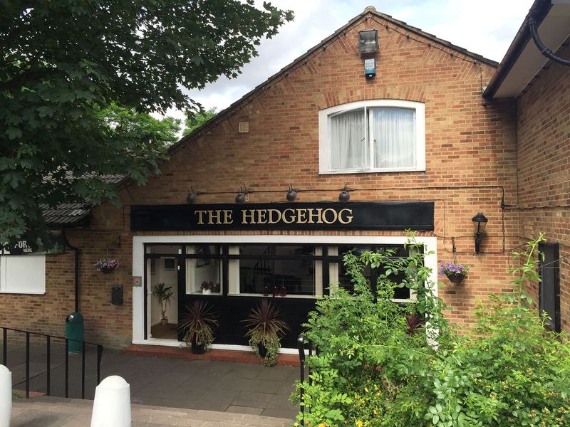 Hedgehog at Welwyn Garden City. (Pub, External, Key). Published on 16-07-2016