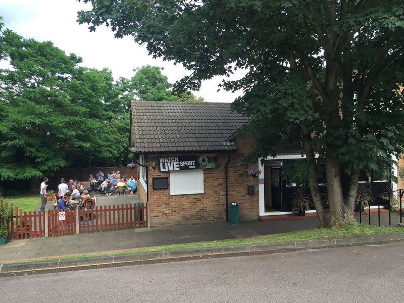 Hedgehog at Welwyn Garden City. (Pub, External). Published on 16-07-2016 