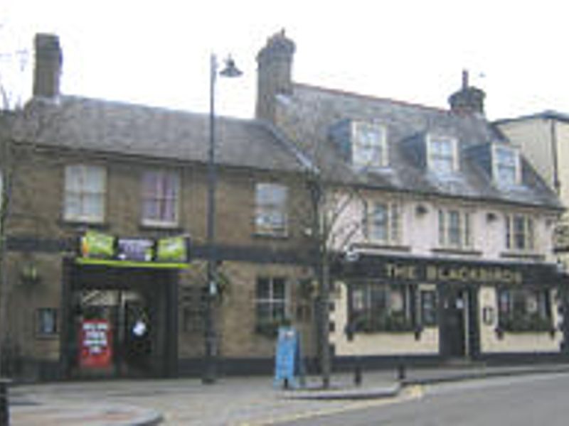 Blackbirds at Hertford. (Pub, External). Published on 01-01-1970 