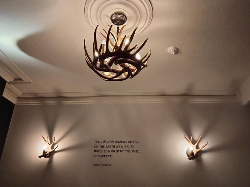 Published on 19-11-2025 